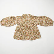 duck, duck, goose blouse