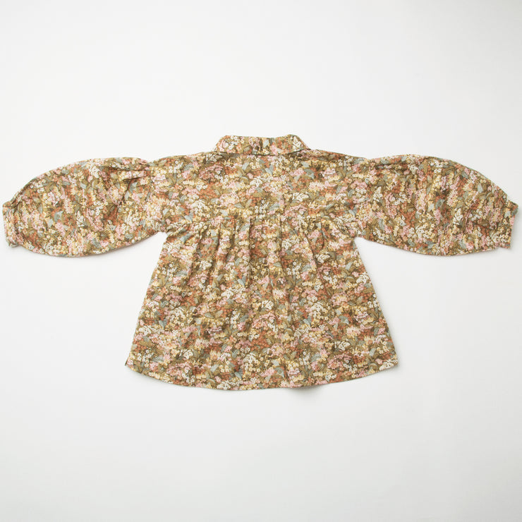 duck, duck, goose blouse