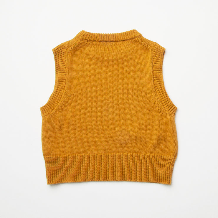 leap frog knitted vest