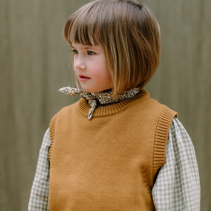 leap frog knitted vest