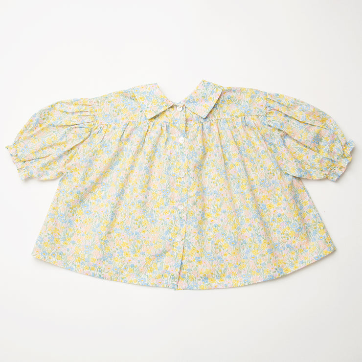 duck, duck, goose blouse